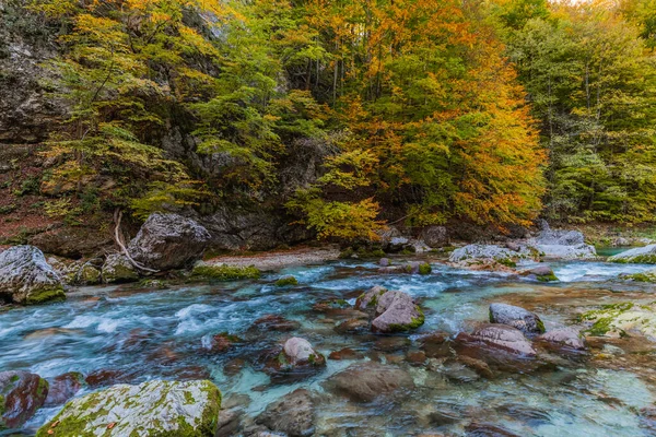 Fall Nature Orrido Dello Slizza Italy — Φωτογραφία Αρχείου