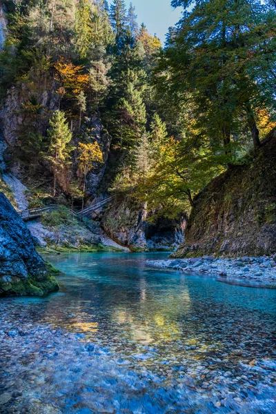 Fall Nature Orrido Dello Slizza Italy — Φωτογραφία Αρχείου