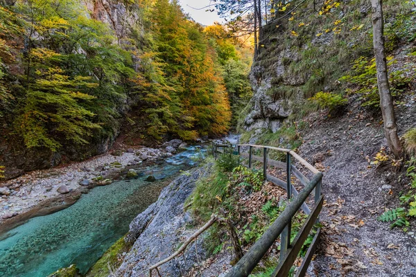 Fall Nature Orrido Dello Slizza Italy — стоковое фото