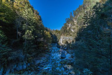 Orrido dello Slizza 'da sonbahar doğası, Tarvisio şehri, Udine bölgesi, Friuli Venezia Giulia bölgesi, İtalya