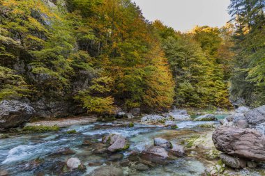 Orrido dello Slizza 'da sonbahar doğası, Tarvisio şehri, Udine bölgesi, Friuli Venezia Giulia bölgesi, İtalya