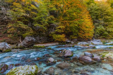 Orrido dello Slizza 'da sonbahar doğası, Tarvisio şehri, Udine bölgesi, Friuli Venezia Giulia bölgesi, İtalya