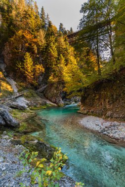 Orrido dello Slizza 'da sonbahar doğası, Tarvisio şehri, Udine bölgesi, Friuli Venezia Giulia bölgesi, İtalya