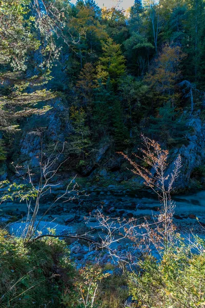 Podzimní Příroda Orrido Dello Slizza Oblast Blízkosti Města Tarvisio Provincie — Stock fotografie