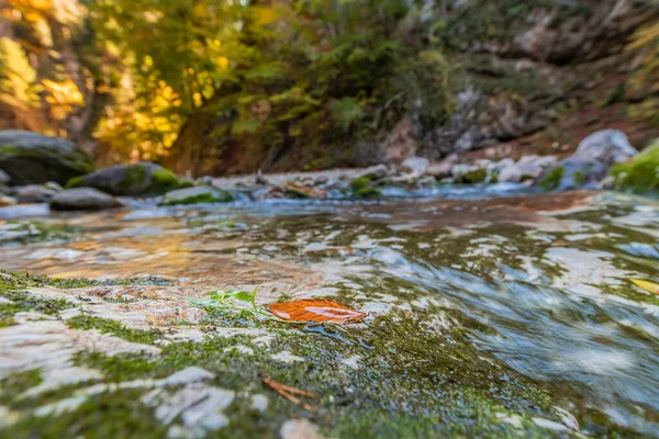 Fall Nature Orrido Dello Slizza Area Close Tarvisio City Udine — Stock Photo, Image