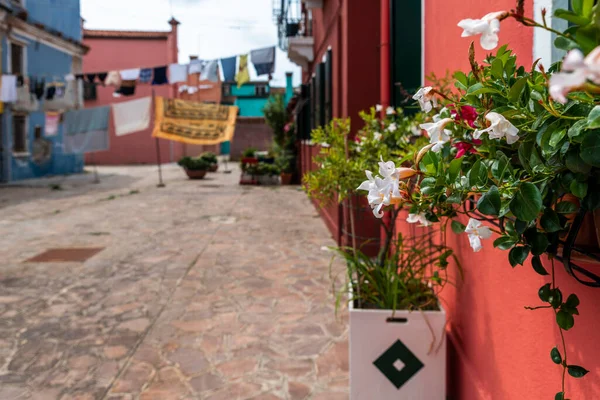 Murano Burano Cidade Canais Itália — Fotografia de Stock