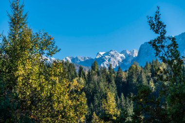 Autumn nature at Orrido dello Slizza, Italy