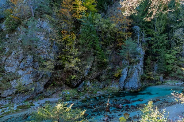 Autunno Natura Orrido Dello Slizza Zona Vicino Alla Città Tarvisio — Foto Stock