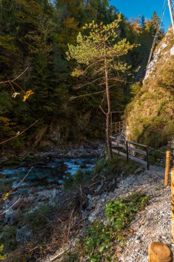 Orrido dello Slizza 'da sonbahar doğası, Tarvisio şehri, Udine bölgesi, Friuli Venezia Giulia bölgesi, İtalya