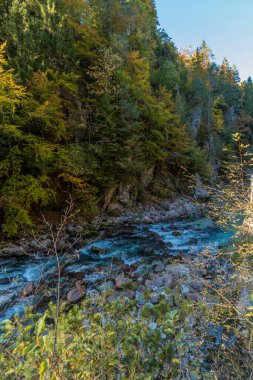 Orrido dello Slizza 'da sonbahar doğası, Tarvisio şehri, Udine bölgesi, Friuli Venezia Giulia bölgesi, İtalya