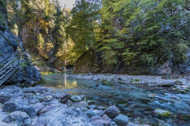 Orrido dello Slizza 'da sonbahar doğası, Tarvisio şehri, Udine bölgesi, Friuli Venezia Giulia bölgesi, İtalya