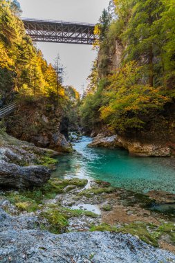 Orrido dello Slizza 'da sonbahar doğası, Tarvisio şehri, Udine bölgesi, Friuli Venezia Giulia bölgesi, İtalya