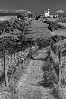 Collio doğa manzarası ve köy, İtalya 