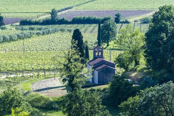 Collio Natuurzicht Dorp Italië — Stockfoto