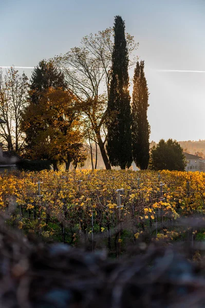 Villafredda Province Autumn Time Italy — Foto Stock