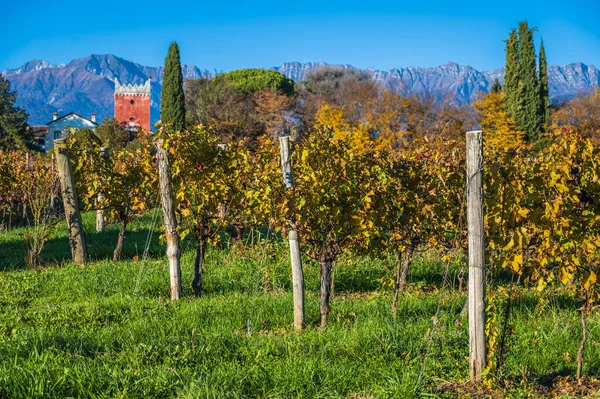 Villafredda Province Autumn Time Italy — Fotografia de Stock