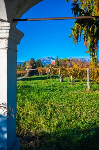 Provincie Villafredda Herfst Italië — Stockfoto