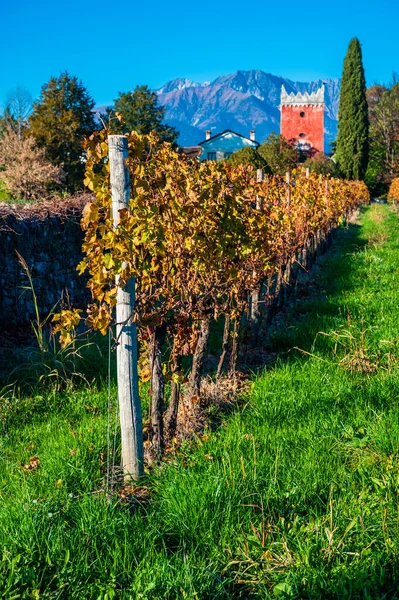 Provincie Villafredda Herfst Italië — Stockfoto