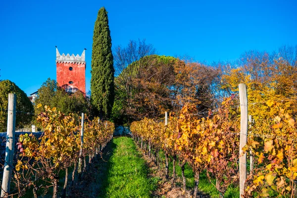 Villafredda Province Autumn Time Italy — ストック写真