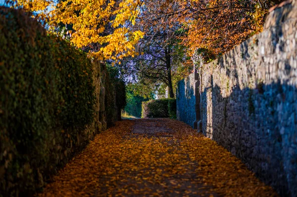 Villafredda Province Autumn Time Italy — стоковое фото