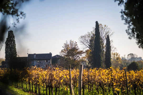 Villafredda Provinsen Hösten Italien — Stockfoto