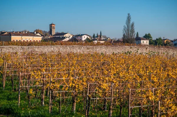 Villafredda Province Autumn Time Italy — ストック写真