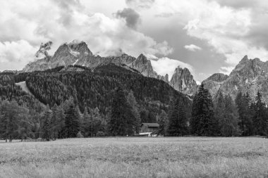 Green highlands in Val Fiscalina, Sesto, Italy 