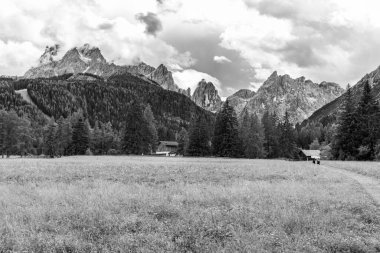 Green highlands in Val Fiscalina, Sesto, Italy 