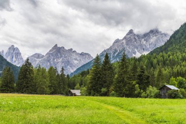 Green highlands in Val Fiscalina, Sesto, Italy 