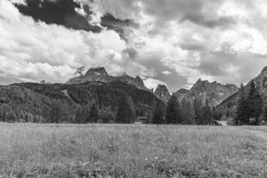 Green highlands in Val Fiscalina, Sesto, Italy 