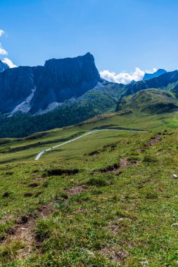 5 Torri, Belluno, Veneto, İtalya. Cinque Torri. Yazın Beş Kulenin Manzarası, Dolomitler Alp Dağları
