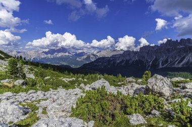 5 Torri, Belluno, Veneto, İtalya. Cinque Torri. Yazın Beş Kulenin Manzarası, Dolomitler Alp Dağları