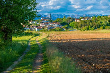 Summer nature in Cassacco, Udine, Italy 