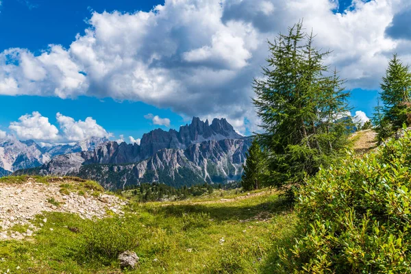 Torri Belluno Veneto イタリア シンク トーリ 夏の5つの塔の風景 ドロマイトアルプス山脈 — ストック写真