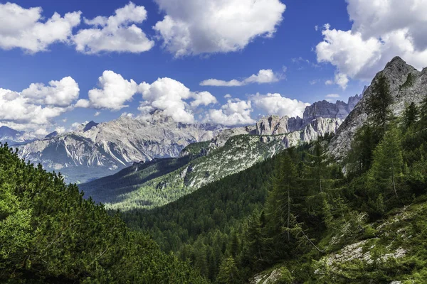 Torri Belluno Veneto Itália Cinque Torri Paisagem Cinco Torres Verão — Fotografia de Stock