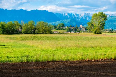 Summer nature in Cassacco, Udine, Italy 