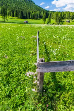 Fiscalina Vadisi Doğa ve Köy, San Candido, İtalya 