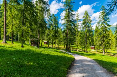 Fiscalina Vadisi Doğa ve Köy, San Candido, İtalya 