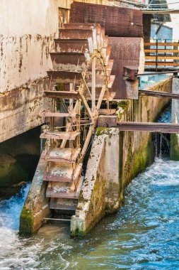 Buja doğa manzarası, İtalya