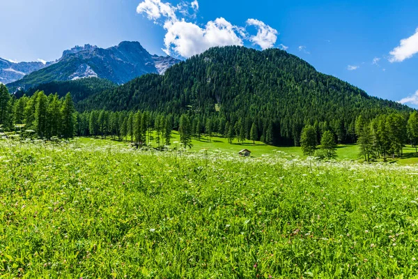 Valle Fiscalina Naturaleza Pueblo San Candido Italia —  Fotos de Stock