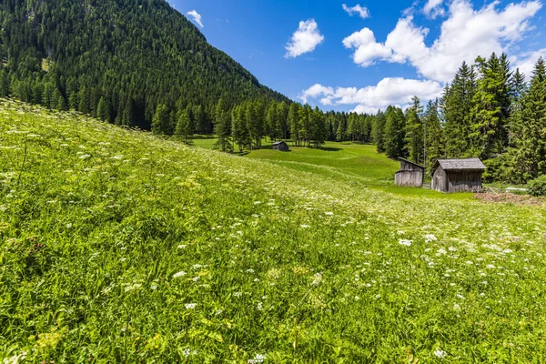 Fiscalina Dolina Przyrody Wsi San Candido Włochy — Zdjęcie stockowe