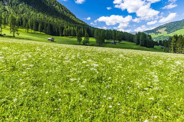 Natur Und Dorf Fiscalina Tal Innichen Italien — Stockfoto