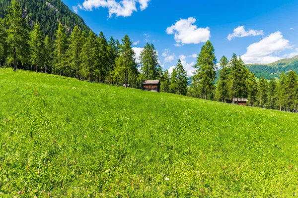 Fiscalina Vallei Natuur Dorp San Candido Italië — Stockfoto