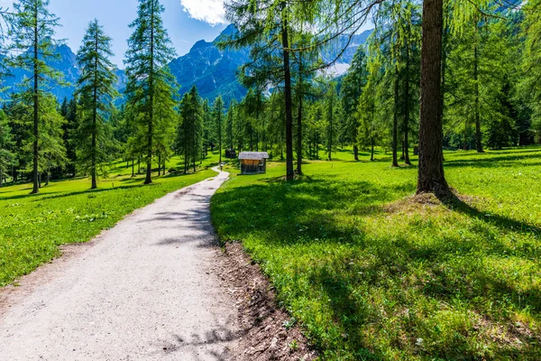 Fiscalina Vadisi Doğa ve Köy, San Candido, İtalya 