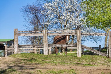 Buja doğa manzarası, İtalya