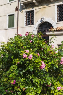 İtalya 'daki Polcenigo şehir manzarası