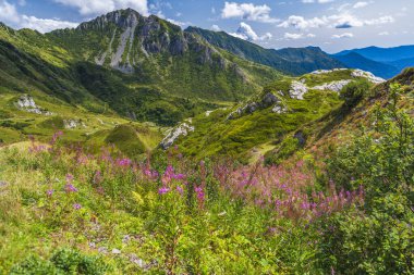 Pramosio doğa görüşü, İtalya