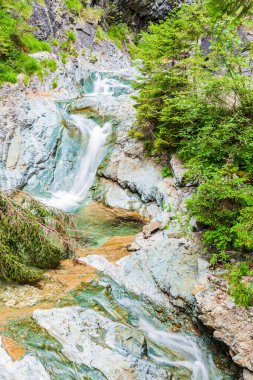 Sapppada yaz sahnesi, doğa manzarası, İtalya