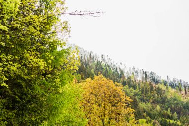 Sutrio town in highlands, Italy