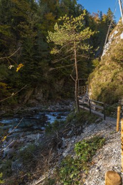 Autumn nature at Orrido dello Slizza, Italy